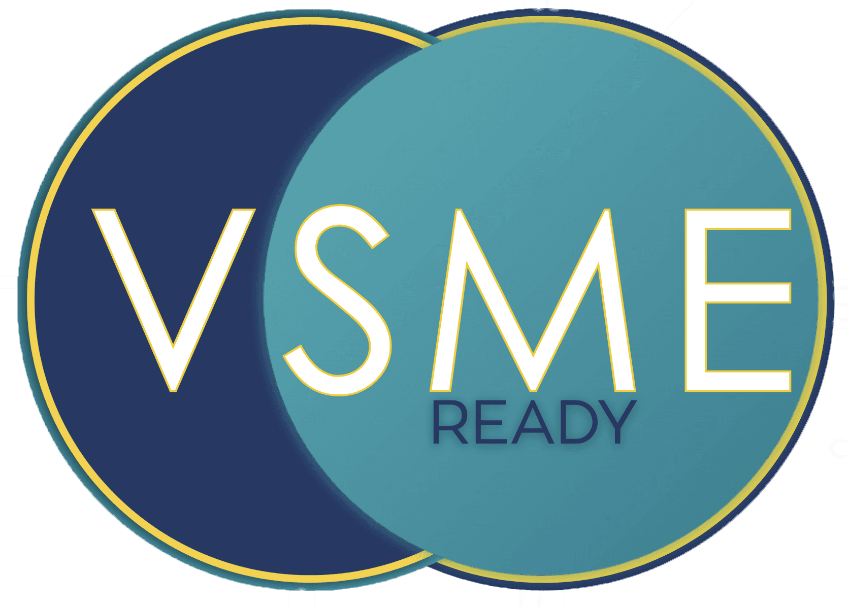 VSME ready logo